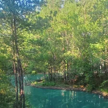 Waterfront Treehouse In A Magical Forest Waller Exteriör bild
