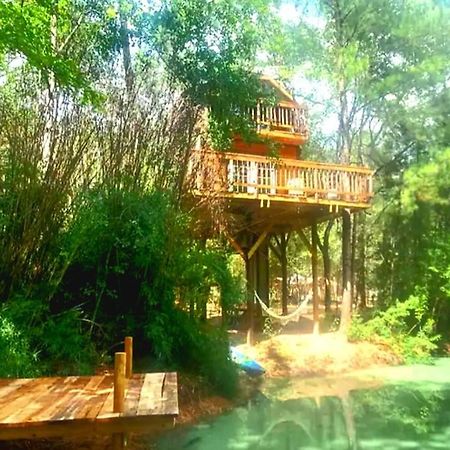 Waterfront Treehouse In A Magical Forest Waller Exteriör bild