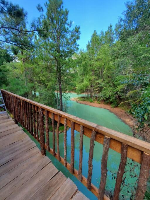 Waterfront Treehouse In A Magical Forest Waller Exteriör bild