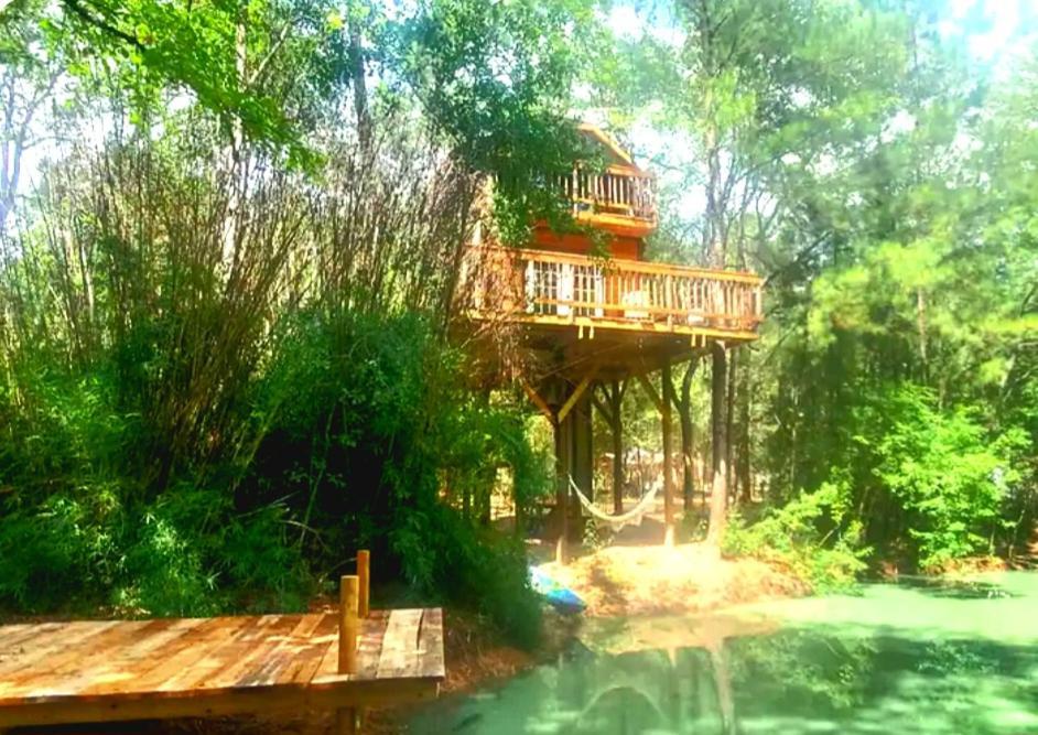 Waterfront Treehouse In A Magical Forest Waller Exteriör bild